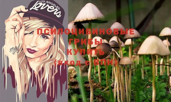 spice Беломорск