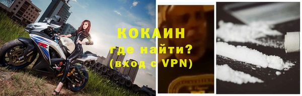 бошки Белокуриха