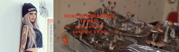 spice Беломорск
