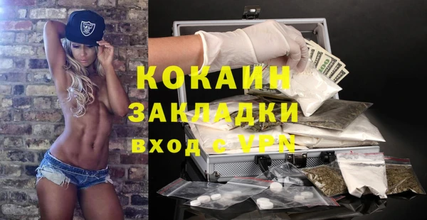 бошки Белокуриха