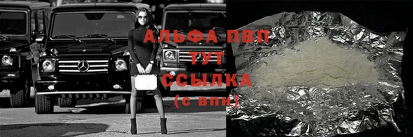 бошки Белокуриха