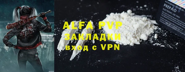 бошки Белокуриха