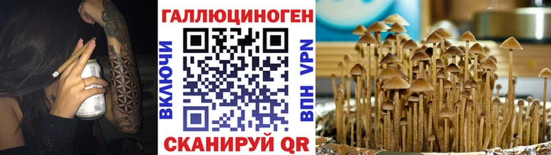 Галлюциногенные грибы прущие грибы  Полтавская 
